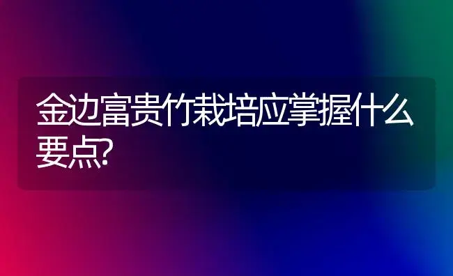 金边富贵竹栽培应掌握什么要点? | 植物知识