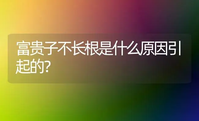 富贵子不长根是什么原因引起的？ | 植物问答