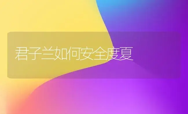 君子兰如何安全度夏 | 植物科普