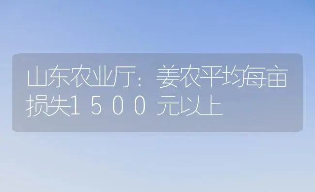 山东农业厅：姜农平均每亩损失1500元以上 | 植物百科