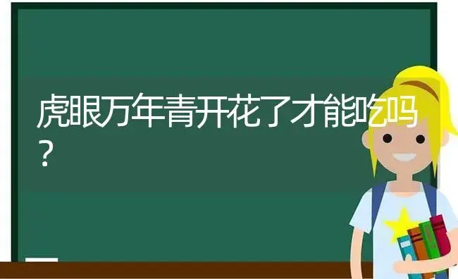 虎眼万年青开花了才能吃吗？ | 植物问答