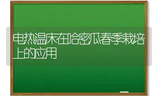 电热温床在哈密瓜春季栽培上的应用 | 植物科普