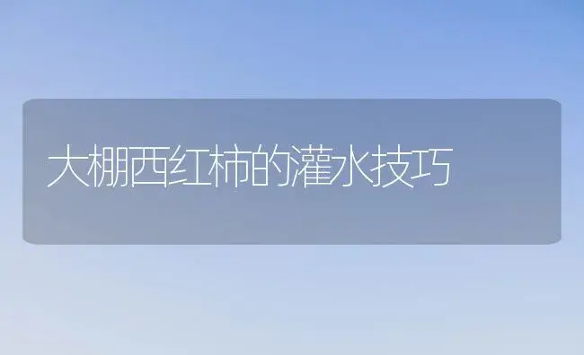 大棚西红柿的灌水技巧 | 植物科普