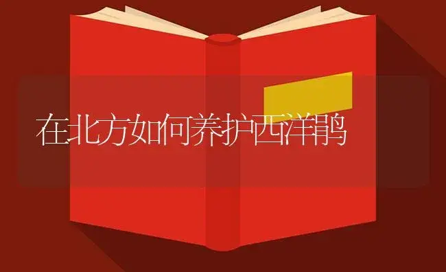 在北方如何养护西洋鹃 | 植物知识