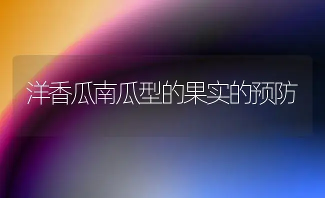 洋香瓜南瓜型的果实的预防 | 植物百科