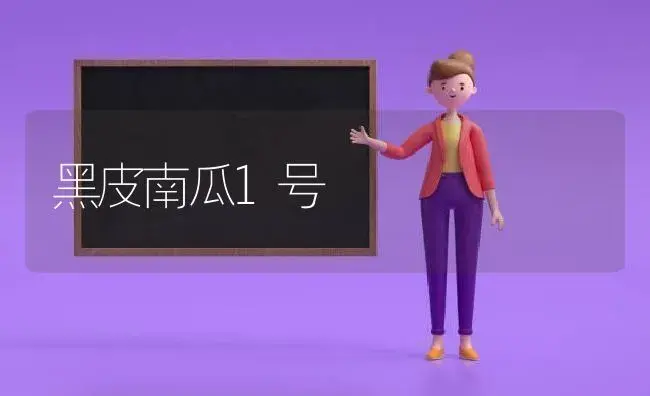 黑皮南瓜1号 | 植物科普