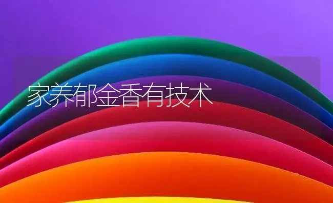 种养兰花的技术要点 | 植物知识