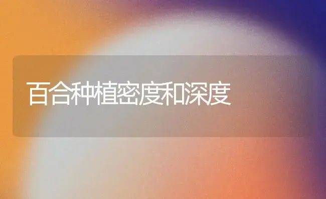 百合种植密度和深度 | 植物知识