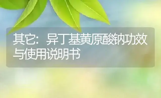 其它：异丁基黄原酸钠 | 适用防治对象及农作物使用方法说明书 | 植物资料