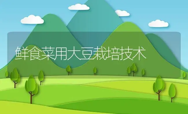 鲜食菜用大豆栽培技术 | 植物资料