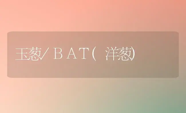 玉葱/BAT(洋葱) | 植物科普