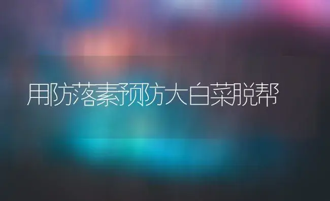 用防落素预防大白菜脱帮 | 植物科普