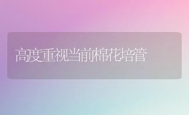 大棚辣椒周年栽培技术 | 植物科普