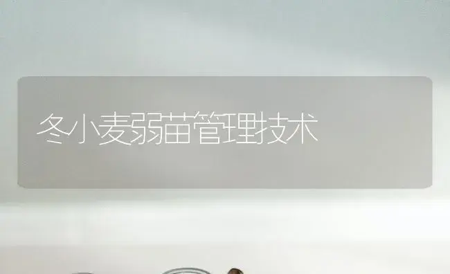 冬小麦弱苗管理技术 | 植物科普