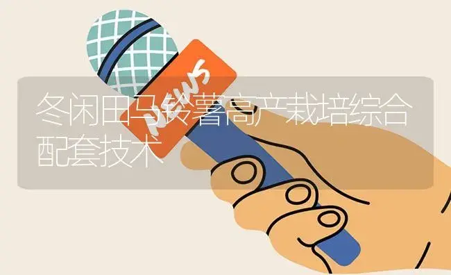 冬闲田马铃薯高产栽培综合配套技术 | 植物资料