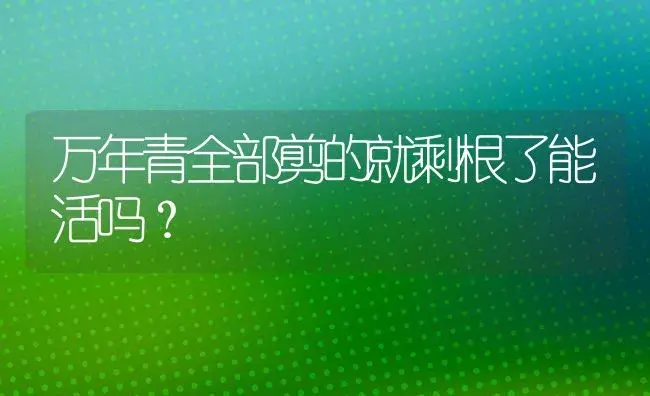 万年青全部剪的就剩根了能活吗？ | 植物问答