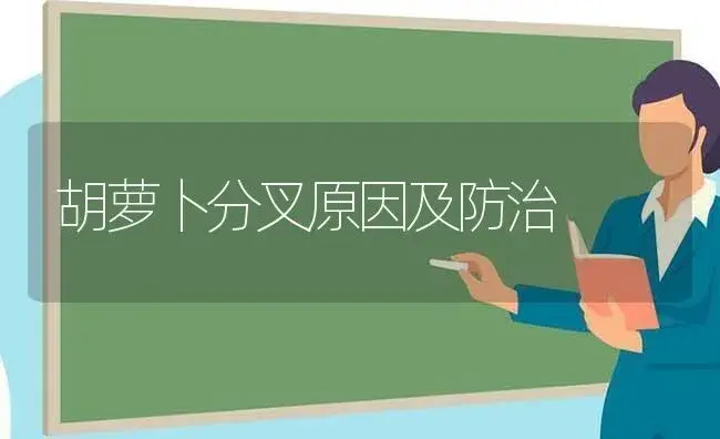 近期冬麦区麦田要注意增温保墒 | 植物科普