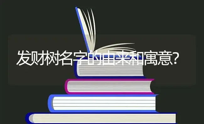 发财树名字的由来和寓意？ | 植物问答