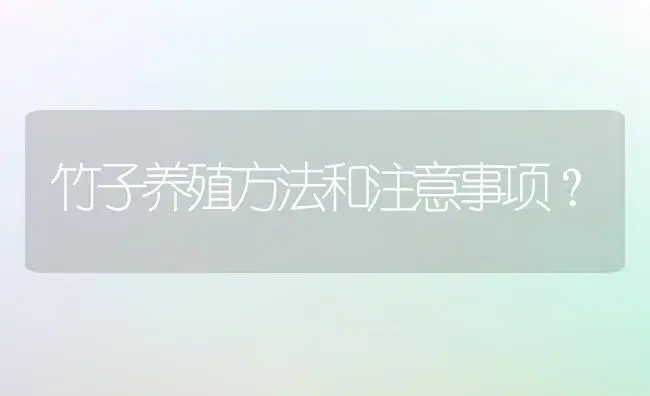 竹子养殖方法和注意事项？ | 植物问答