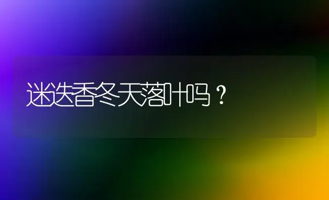 迷迭香冬天落叶吗？ | 植物问答