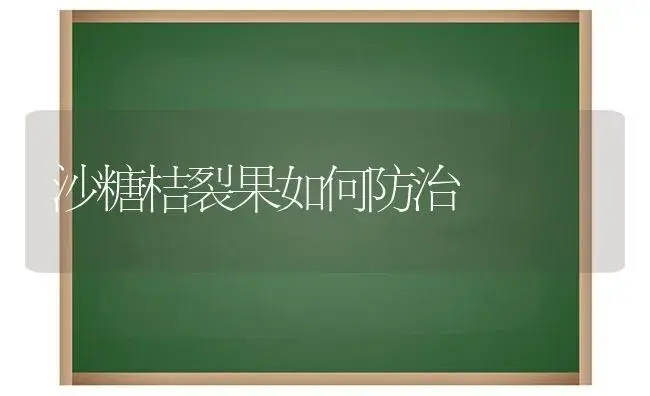 沙糖桔裂果如何防治 | 植物科普