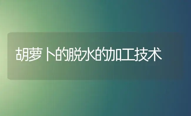 毛竹笋用林的林地选择及春季管理 | 植物百科