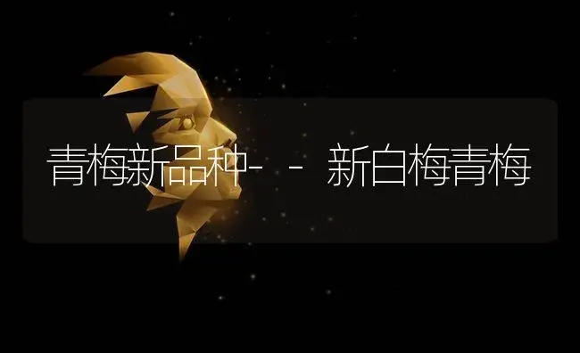 青梅新品种--新白梅青梅 | 植物科普