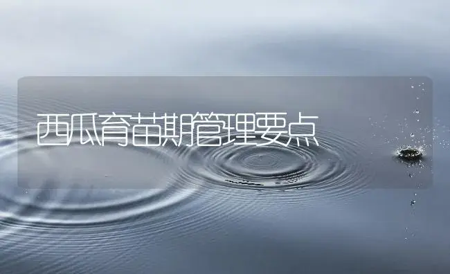 西瓜育苗期管理要点 | 植物百科