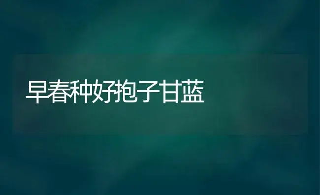 早春种好抱子甘蓝 | 植物科普