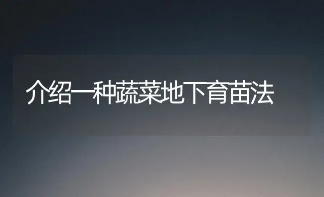 介绍一种蔬菜地下育苗法 | 植物科普