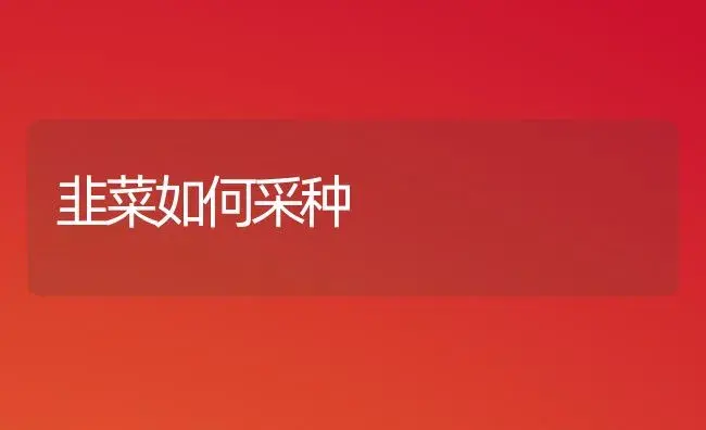 超级精品葡萄——美国珍珠无核小红提 | 植物百科