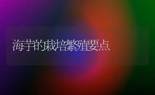 海芋的栽培繁殖要点 | 植物科普
