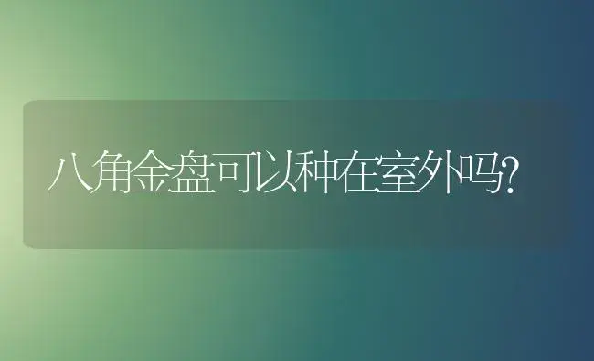 八角金盘可以种在室外吗？ | 植物问答