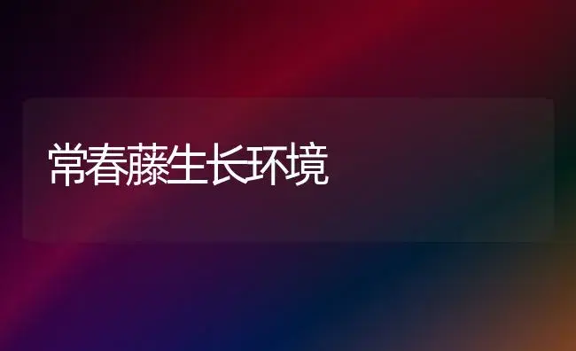 常春藤生长环境 | 植物科普
