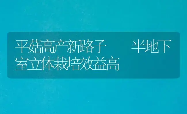 平菇高产新路子――半地下室立体栽培效益高 | 植物科普