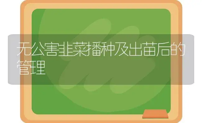 无公害韭菜播种及出苗后的管理 | 植物科普