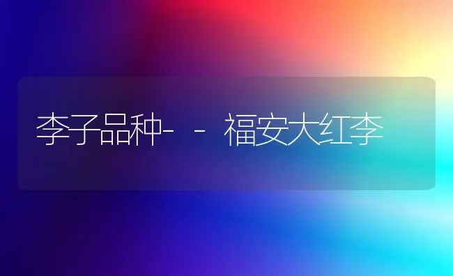 李子品种--福安大红李 | 植物百科