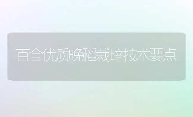 百合优质晚稻栽培技术要点 | 植物知识