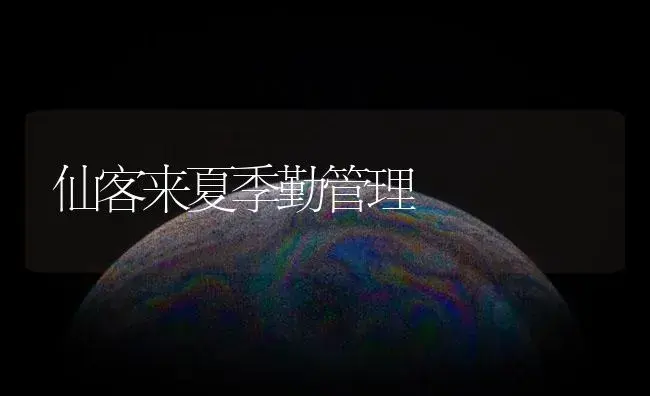 仙客来夏季勤管理 | 植物知识