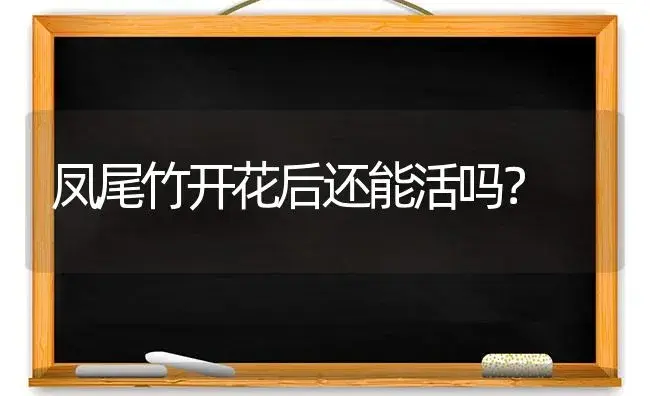 凤尾竹开花后还能活吗？ | 植物问答