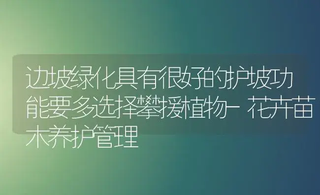 边坡绿化具有很好的护坡功能要多选择攀援植物-花卉苗木养护管理 | 植物知识