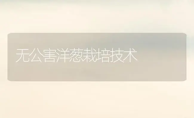 无公害洋葱栽培技术 | 植物科普