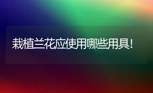 栽植兰花应使用哪些用具！ | 植物知识
