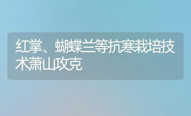 红掌、蝴蝶兰等抗寒栽培技术萧山攻克 | 植物知识