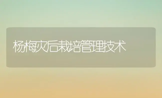 杨梅灾后栽培管理技术 | 植物科普