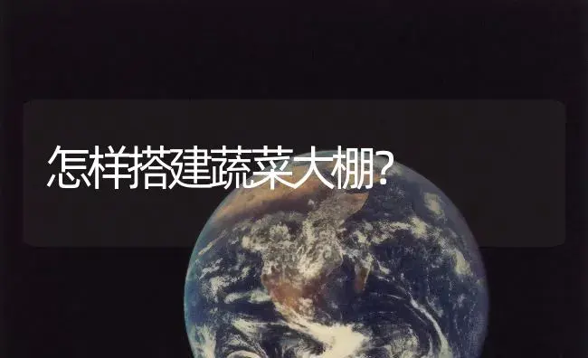 怎样搭建蔬菜大棚？ | 植物百科