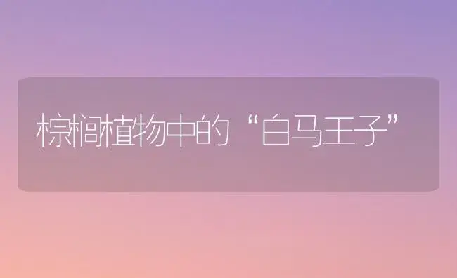 棕榈植物中的“白马王子”（图） | 植物知识