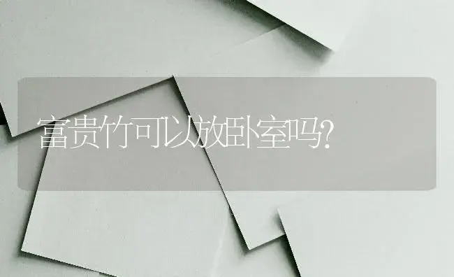 富贵竹可以放卧室吗？ | 植物问答