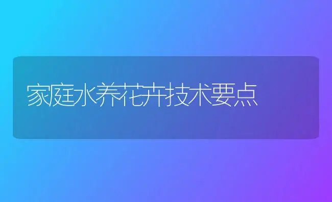 家庭水养花卉技术要点 | 植物科普