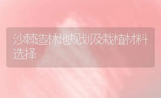 沙棘造林地规划及栽植材料选择 | 植物知识